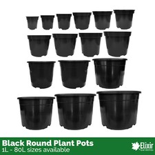 Black Recycled Plastic Plant