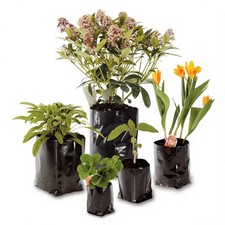 Poly Plant Pots Grow Bag