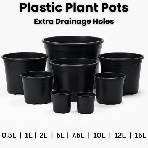 Black plastic plant - black,