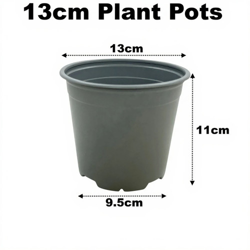 13cm plant pots - pots, plastic