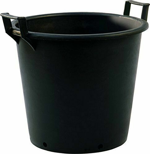 Large tree planters - tree,