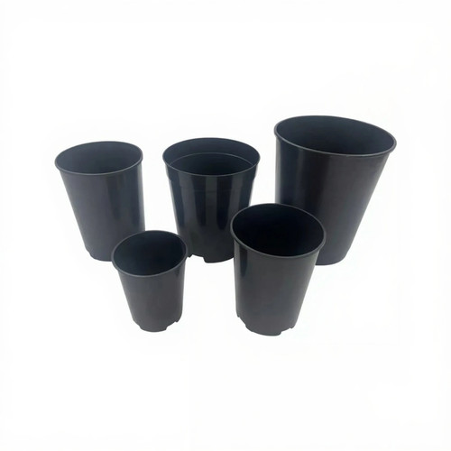 Deep rose pots - deep, 2,
