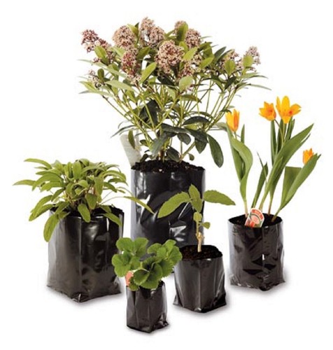 Poly pots strong - pots, grow