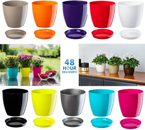 Plant flower pot plastic - plant, 20