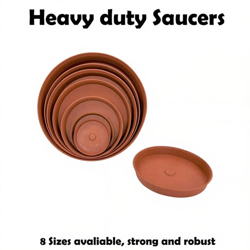 Plant pot saucer drip - plant,